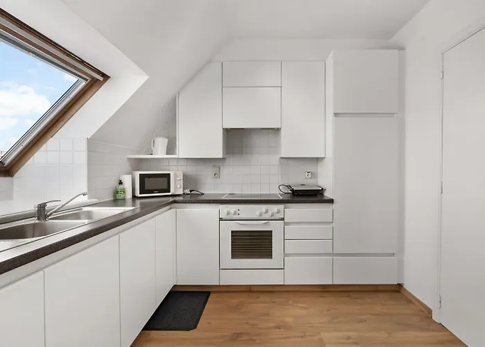 Beautiful Near Center 公寓 布兰肯贝赫